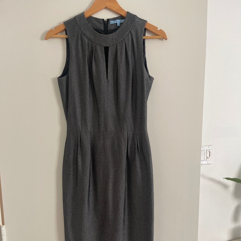 Antonio Melani dress